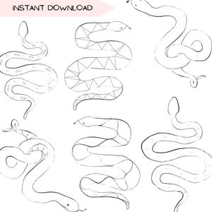 Schlange handgezeichnetes illustriertes Clipart-Bundle - Schlange Cobra Boa Viper digitaler Download, Instant Art für Handwerk, Logos und Design-Projekte