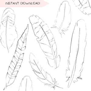 Bundle d'art clip plume, plumes d'oiseau dessinés à la main des cliparts art ligne nature, éléments de la nature dessinés à la main illustration, dessins PNG Transparents