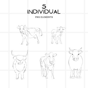 Cow PNG Clipart Bundle, Hand-drawn Farm Animal Designs, Milk Cow Sketch ...