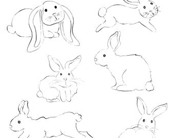 Kanin PNG Clipart-paket, vårblommiga PNG-doodles, handritade kaninskisser, digital nedladdning för DIY-konst, hantverk, inbjudningar och mer