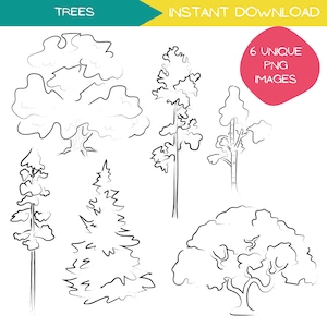 Boom clipart bundel, bos illustraties, eenvoudige botanische lijntekeningen, hand getrokken bos illustratie, zwart-wit, transparant PNG-bestand