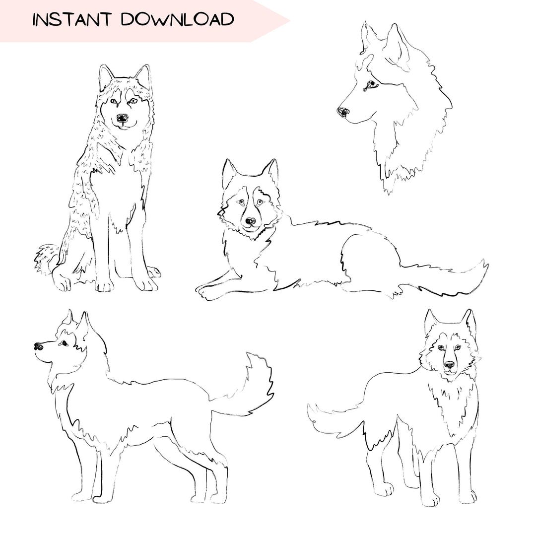 Husky Line Art Clip Art Bundle, Dog Breed Illustration PNG, Dog Lover ...