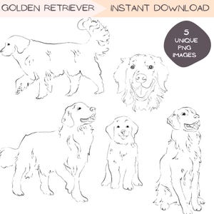 Pacote de Clip Art Golden Retriever, Ilustração Desenhada à Mão, Esboço de Arte em Linha, Clip Art de Filhote de Cachorro, Presente para Donos de Animais de Estimação, Design PNG Transparente Simples
