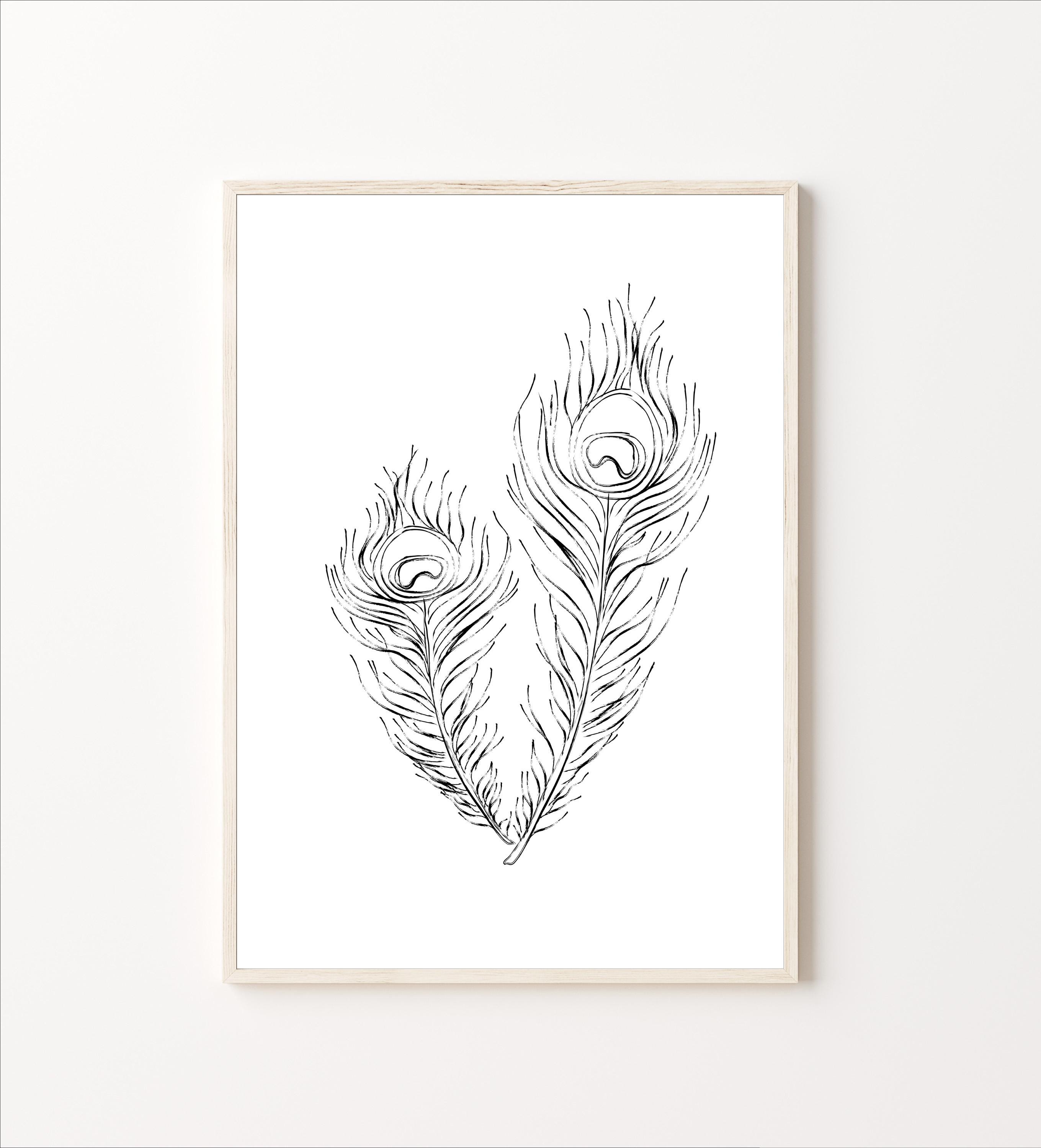 Peacock Line Art Clipart Bundle, Feather Hand-drawn Design, PNG Digital  Download Sketch, Printable Wall Art, Bird Illustration Print - Etsy, image size:2719x3000