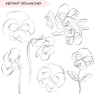 Stiefmütterchen Frühling Blumen botanisches Clipart-Bundle, Blumen Clip Art Linie Kunst, handgezeichnete Natur Illustration, schwarzer Umriss transparent PNG