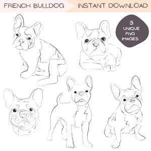 Pacote de clipart de buldogue francês, ilustração desenhada à mão esboço arte de linha, filhote de cachorro clipart presente do proprietário do animal de estimação simples design PNG transparente