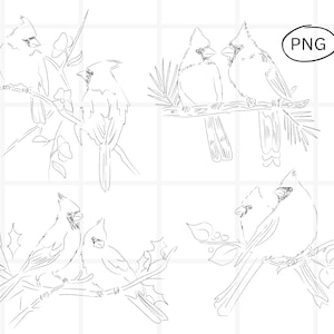 Paquete de imágenes prediseñadas de cardenal, imágenes prediseñadas de arte lineal de naturaleza invernal simple, bocetos de pareja de pájaros dibujados a mano, diseños PNG transparentes