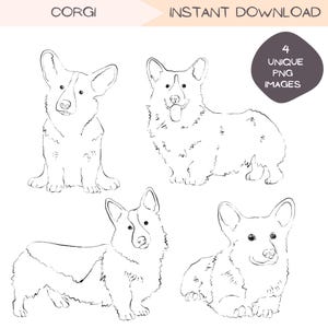 Pacote de clipart de corgi, esboço de ilustração desenhada à mão, clipart de cachorrinho fofo, presente para dono de animal de estimação, design PNG transparente simples.
