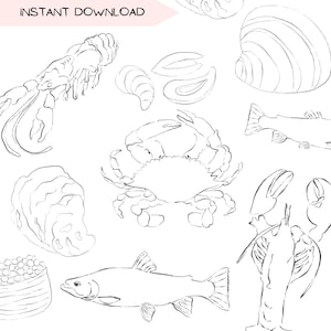 Bundle de cliparts fruits de mer, cuisine côtière voyage clipart dessins, dessin au trait minimaliste village de pêcheurs, Illustration dessinée à la main, PNG Transparent