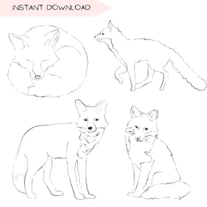 Renard Clip Art, Animal mignon Nature dessinés à la main PNG Transparent Bundle, dessin au trait foxy, téléchargement numérique des cliparts pour T-shirts et travaux manuels