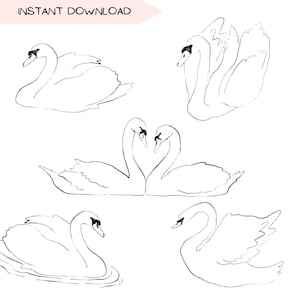 Puede incluir: Cinco dibujos en blanco y negro de cisnes. Los cisnes están en varias poses, incluyendo un par de cisnes que se miran con los cuellos entrelazados, un cisne con las alas extendidas y un cisne nadando.