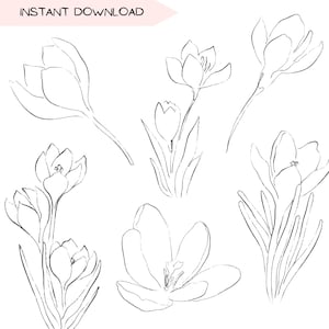 Peut inclure: Dessins au trait en noir et blanc de fleurs de crocus, représentant différents stades de floraison. L'image montre des fleurs ouvertes et fermées avec des tiges et des feuilles détaillées. Le texte "INSTANT DOWNLOAD" est en haut.