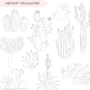 Paquete de imágenes prediseñadas botánicas del desierto, imágenes prediseñadas de cactus, arte lineal de suculentas, ilustración de plantas del desierto dibujada a mano, diseños digitales PNG transparentes