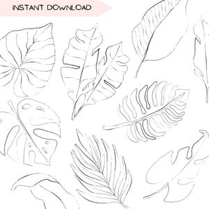 Bundle de clipart botanique feuille tropicale, feuilles Clip Art dessin au trait jungle, Illustration plante dessinée à la main, PNG Transparent noir et blanc