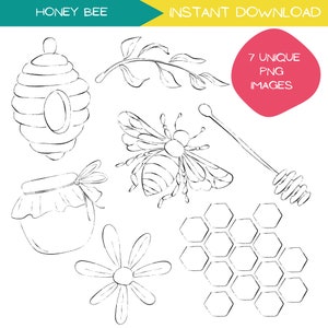 Pacote de clipart de arte em linha de abelha e mel, clipart desenhado à mão, esboço simples de abelha, rabiscos com tema da natureza, fundo transparente PNG