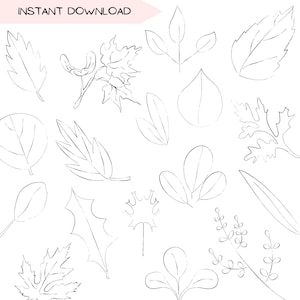 Fall Leaves Botanical Clip Art Bundle, Hand Drawn Nature PNG, Minimalist Illustration Sketch, Black and White Autumn Clipart Line Art