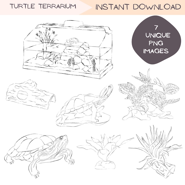 Turtle Terrarium Clip Art Bundle, Simple Turtle Line Art Clipart, Plantes de réservoir botaniques, Illustration dessinée à la main, Conceptions PNG transparentes