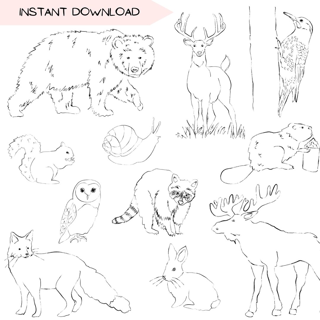 Woodland Animal Clipart Bundle, Forest Hand-drawn PNG Designs, Moose ...