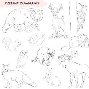 Bos dieren clip art bundel, bos lijntekeningen clipart, eenvoudige zwart-wit handgetekende illustratie, transparante achtergrond png-ontwerpen