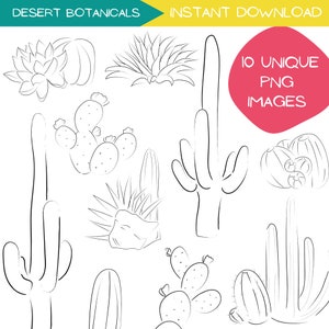 Paquete de imágenes prediseñadas botánicas del desierto, imágenes prediseñadas de cactus, arte lineal suculento, ilustración de paisaje desértico dibujada a mano, blanco y negro, PNG