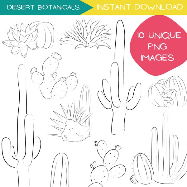 Desert Botanical Clipart Bundle, Cactus Clip Art, Succulent Line Art, Hand Drawn Desert Landscape Illustration, Black and White, PNG