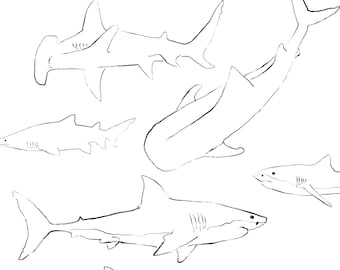 Shark PNG Clip Art Bundle, Hand-drawn Line Art PNG Designs, Marine Life, Ocean Printable Wall Art, Digital Download for DIY Crafts & Gifts