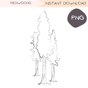 Può includere: Un disegno in bianco e nero di tre alberi di sequoia. Gli alberi sono alti e sottili, con una chioma arrotondata. Il disegno è semplice ed elegante, e sarebbe perfetto per un progetto di design a tema natura.