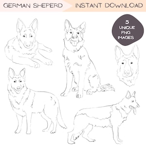 Pacote de clipart de cão pastor alemão, ilustração desenhada à mão esboço linha arte clipart presente do proprietário do animal de estimação simples minimalista design PNG transparente