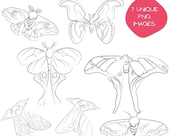 Paquete de imágenes prediseñadas de polillas, bocetos de insectos dibujados a mano en formato PNG, dibujos de naturaleza con líneas transparentes, descarga digital para manualidades y proyectos.