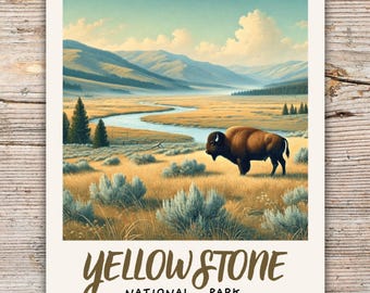 Bosque Petrificado Del Parque Nacional De Yellowstone Estados Unidos A