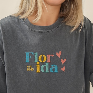 Vintage Florida Shirt, Retro Florida Shirt, Florida T Shirt, Comfort Colors Florida Shirt, Grunge Florida Shirt, Florida Gift, Florida Shirt