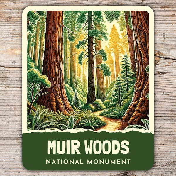 Adesivo Muir Woods – Decalcomania in vinile del monumento nazionale Art Déco retrò