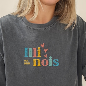 Retro Illinois Shirt, Illinois T Shirt, Comfort Colors Illinois Shirt, Grunge Illinois Shirt, Illinois Gift, Illinois Shirt, Illinois Tee