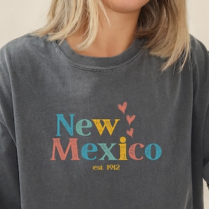 Vintage New Mexico Shirt, Retro New Mexico Shirt, New Mexico T Shirt, Comfort Colors New Mexico Shirt, Grunge New Mexico Shirt