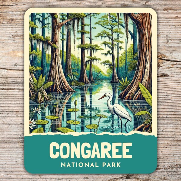 Congaree National Park Sticker – Retro Art Deco Doodle Art – South Carolina Vinyl Decal for Laptops, Water Bottles, Coolers & Notebooks
