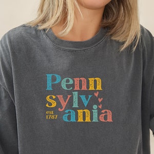 Grunge Pennsylvania Shirt, Retro Pennsylvania Shirt, Pennsylvania T Shirt, State of Pennsylvania Shirt,  Pennsylvania Gift, Pennsylvania Tee
