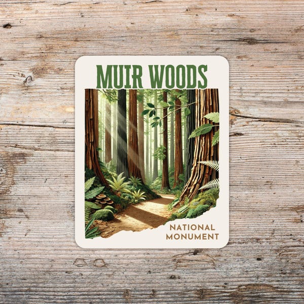 Adesivo Muir Woods, collage di carta Art Déco, viaggio in California
