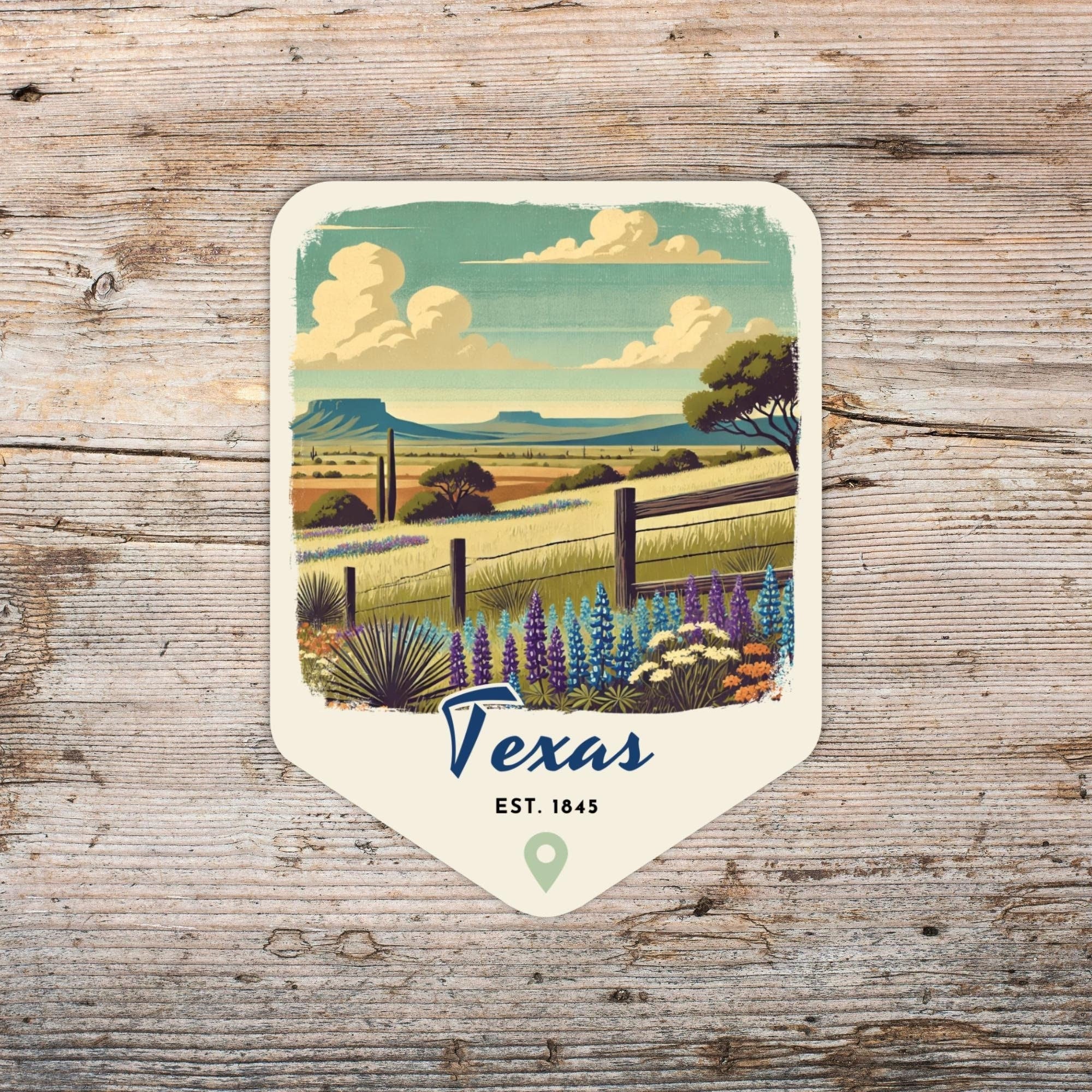 Texas Retro Grunge Sticker, Laptop Sticker, Cooler Sticker, Water Bottle Sticker, Texas Souvenir, Texas Gift, State Sticker, Texas Vacation