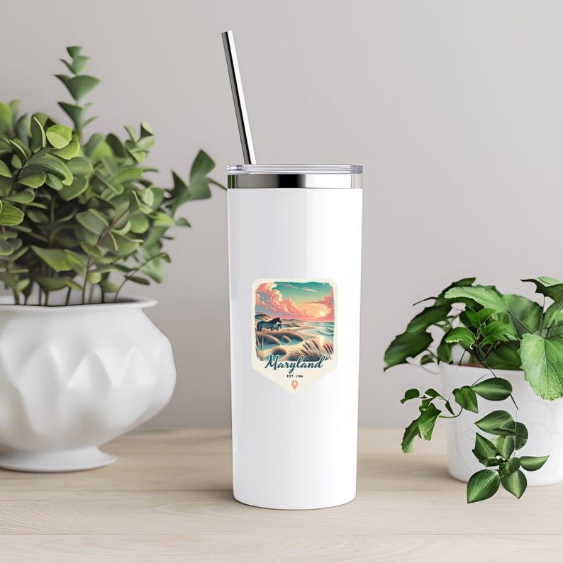 Maryland Retro Grunge Sticker, Laptop Sticker, Cooler Sticker, Water Bottle Sticker, Maryland Souvenir, Maryland Gift, State Sticker image 3