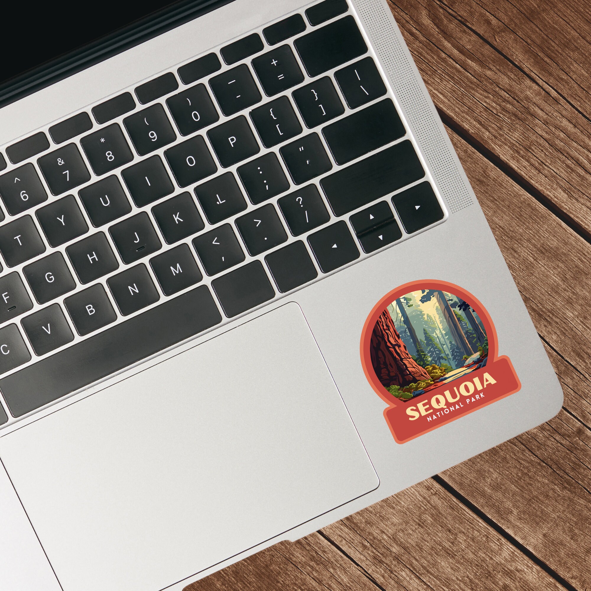 Carta Da Parati Sequoie Giganti Nel Sequoia National Park, California - Foto 8