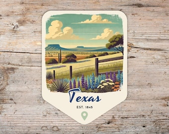 Texas Retro Grunge Sticker, Laptop Sticker, Cooler Sticker, Water Bottle Sticker, Texas Souvenir, Texas Gift, State Sticker, Texas Vacation