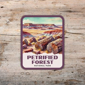 Petrified Forest National Park Retro Watercolor Sticker, Laptop Sticker, Water Bottle Sticker, Arizona Sticker, Petrified Forest Gift