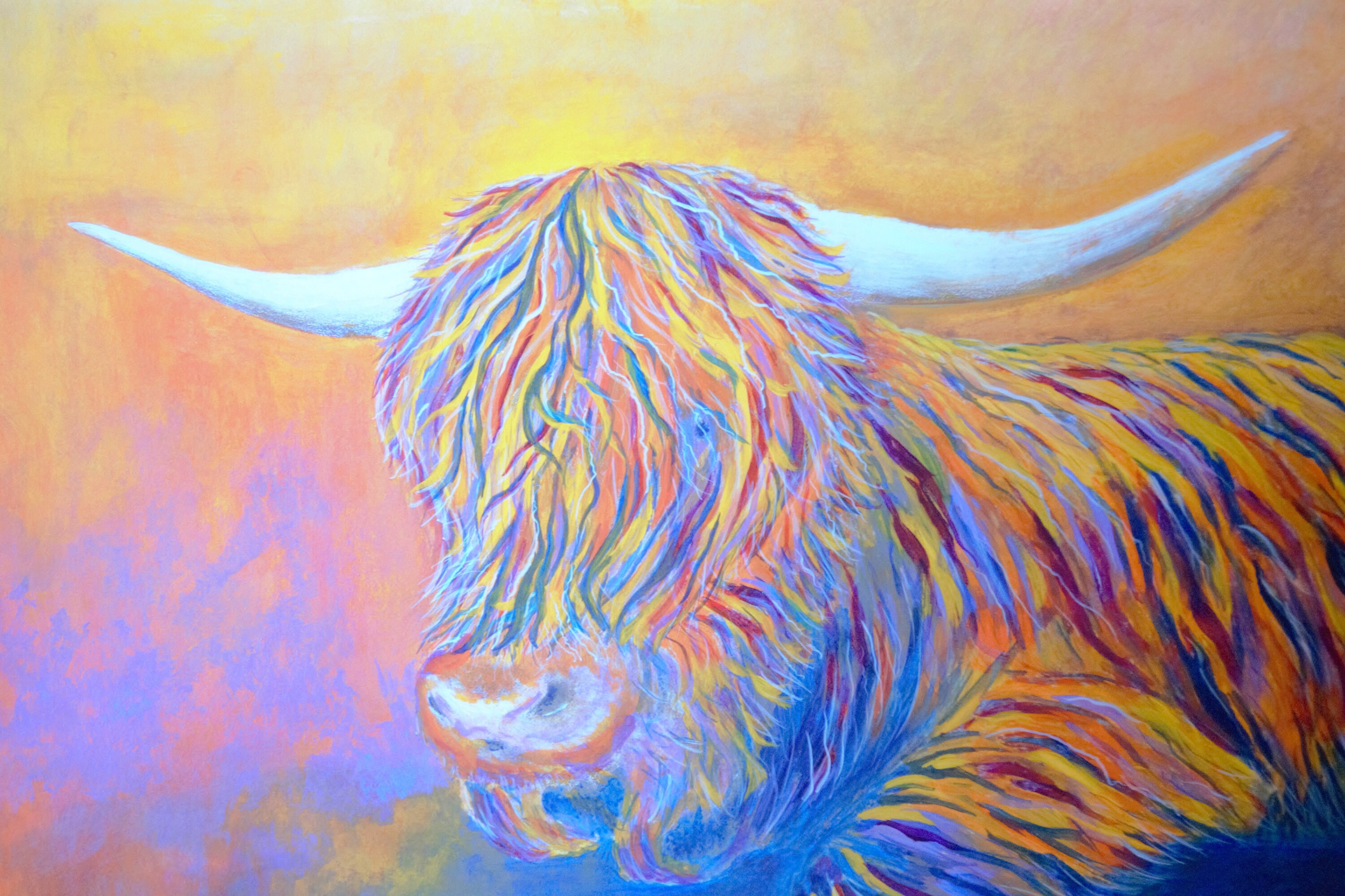 Multi-Coloured Highland Cow Mounted Print