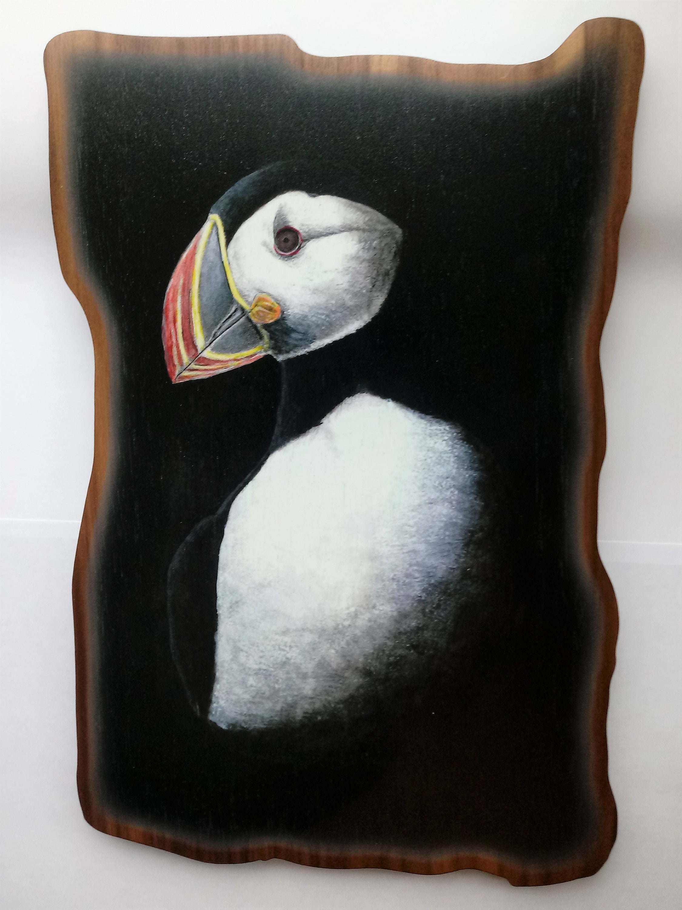 Puffin Wall Plaque