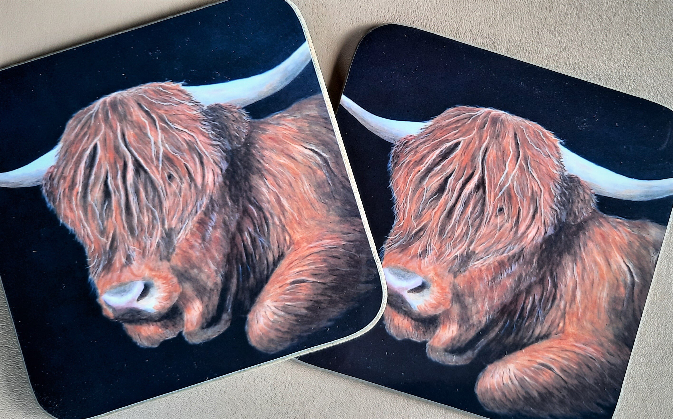 Pair of Highland Cow Coasters