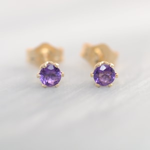 Puede incluir: Un par de pendientes de botón de oro con pequeñas piedras redondas de amatista púrpura.