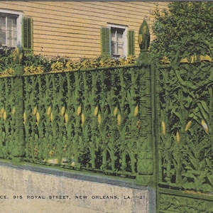 Puede incluir: Postal antigua con la Corn Fence en Nueva Orleans, LA. La valla verde está decorada con tallos y mazorcas de maíz. El texto en la parte inferior dice "THE CORN FENCE, 915 ROYAL STREET, NEW ORLEANS, LA."