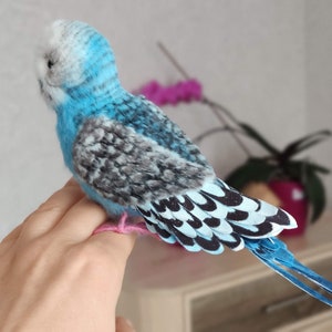 MADE TO ORDER Blue Budgie realistic plush toy | Etsy