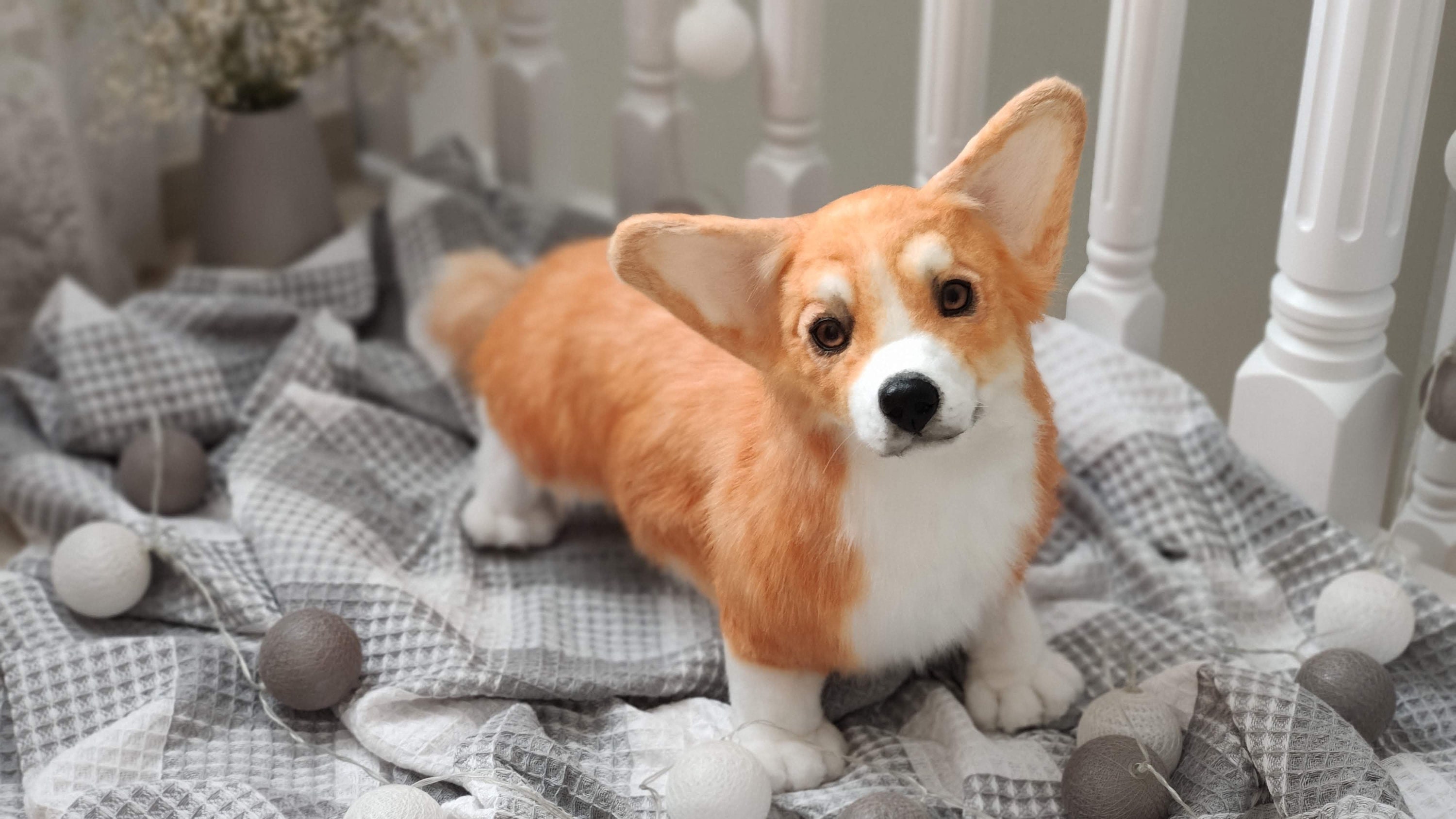Realistic Stuffed Animal Welsh Corgi Pembroke OOAK handmade | Etsy