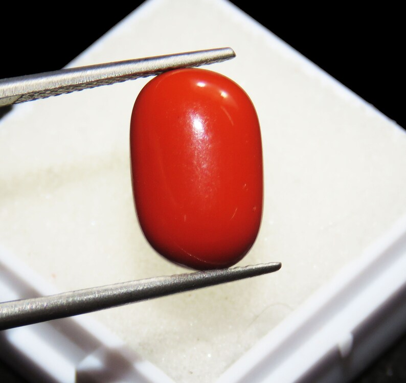 Loose Gemstone Elegant 4.87 Ct Natural Certified Moonga Coral